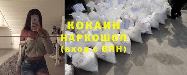 соль ск Бородино