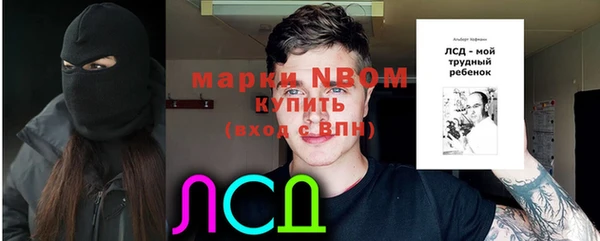 соль ск Бородино