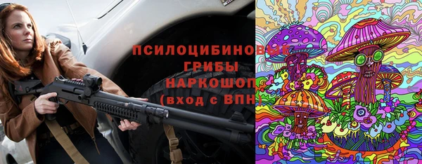 герыч Бронницы