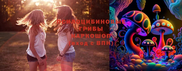 соль ск Бородино