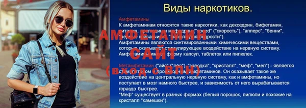 соль ск Бородино